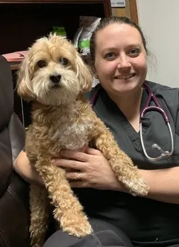 female veterinarian holding light fluffy dog