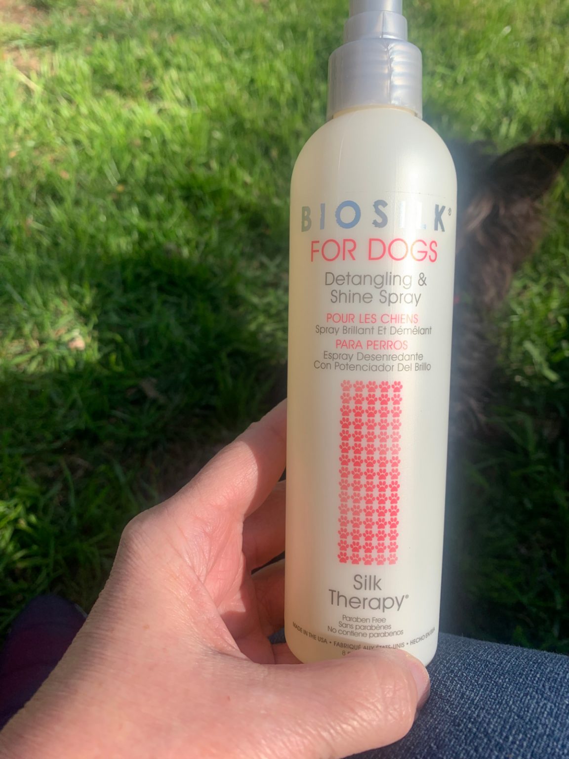 Best Detangler Spray for Yorkies (Plus a Buyer’s Guide) Yorkie Universe