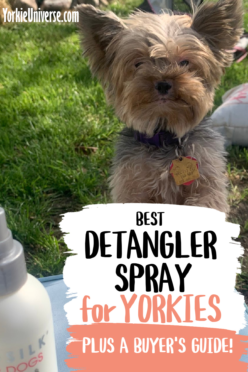Best Detangler Spray for Yorkies (Plus a Buyer’s Guide) Yorkie Universe