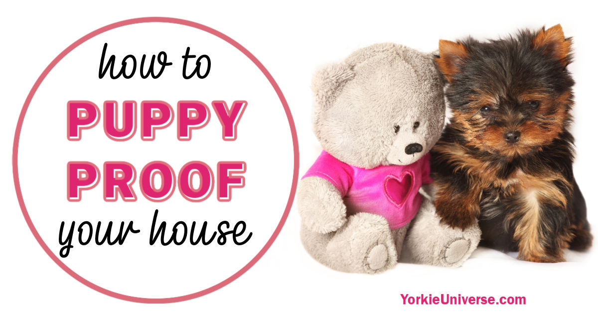 How Do I Puppy Proof My Home