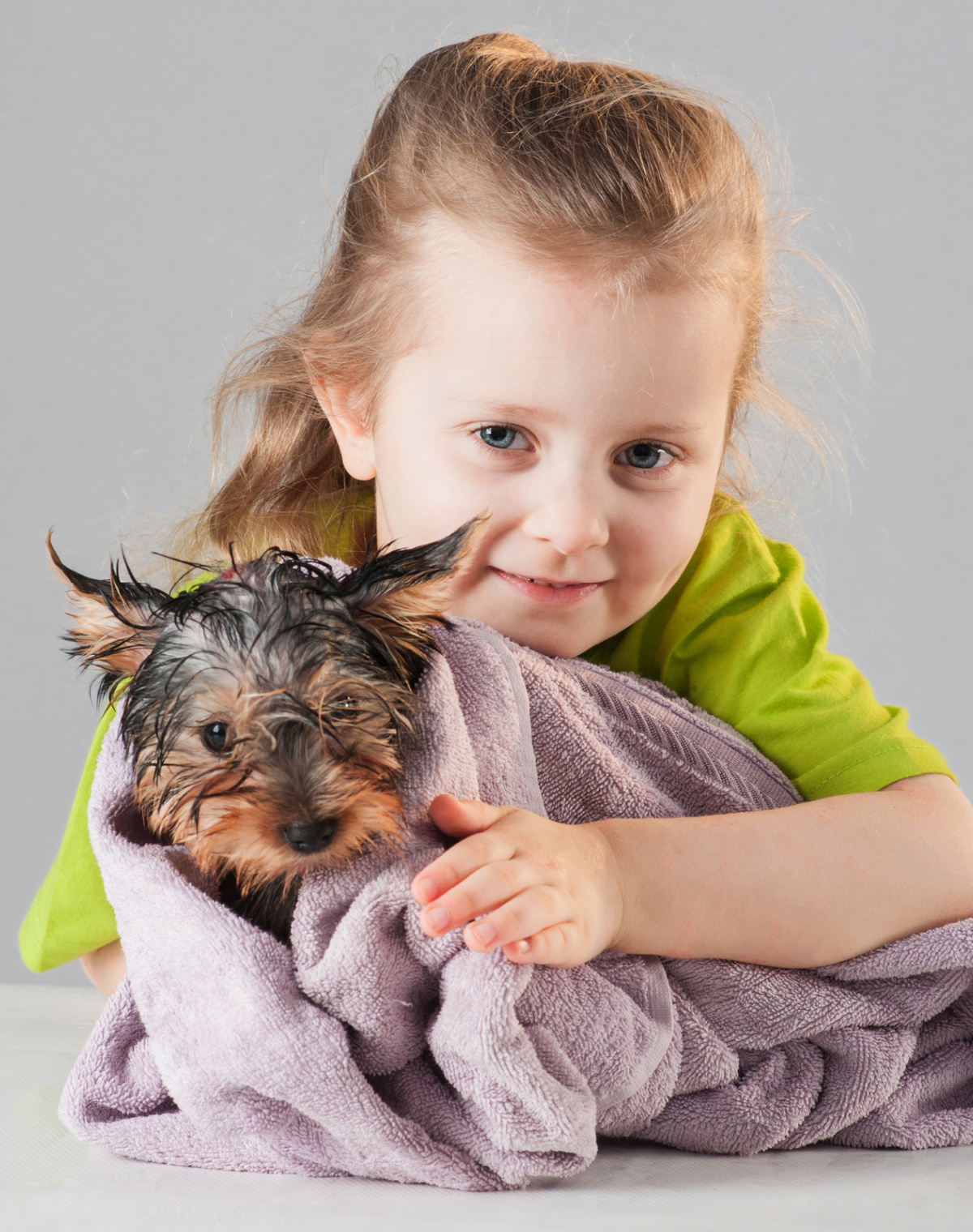 Best Shampoo for Yorkies with Allergies (Plus a Buyer’s Guide) Yorkie