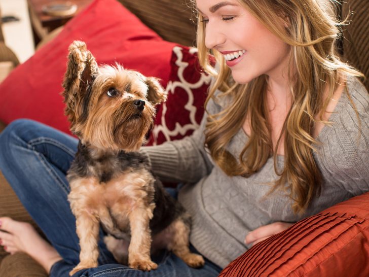 woman and Yorkie sitting on couch