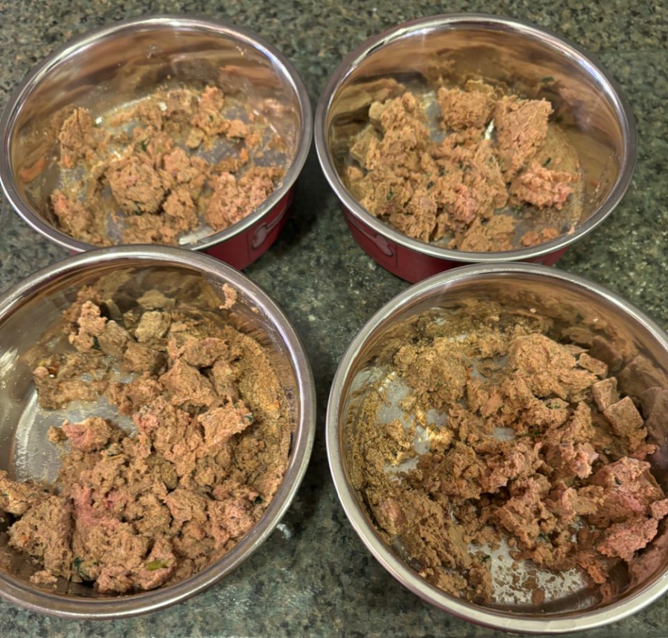 Ollie Dog Food Perfect Solution for Picky Yorkies Yorkie Universe