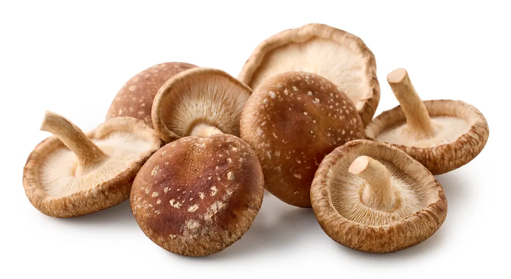 Group of shiitake mushrooms.