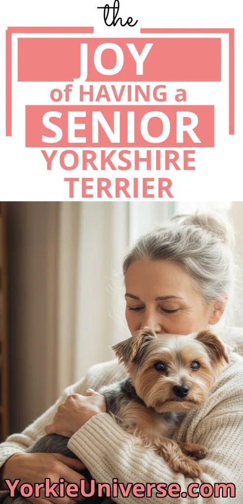 A woman with gray hair hugs her senior Yorkshire Terrier while sitting indoors. Above them, a graphic reads, The joy of having a senior dog. YorkieUniverse.com is displayed at the bottom.