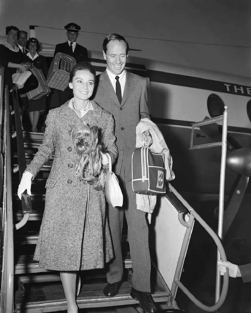 A woman in a coat holds a small Yorkshire Terrier as she walks down airplane stairs beside a man in a suit. Other passengers follow with bags. The scene appears to be from the mid-20th century, recalling stories of famous Yorkshire Terriers.