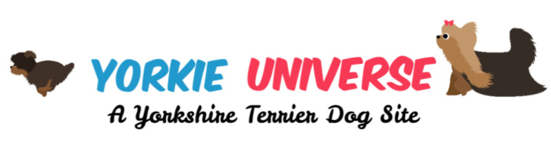 Yorkie Universe
